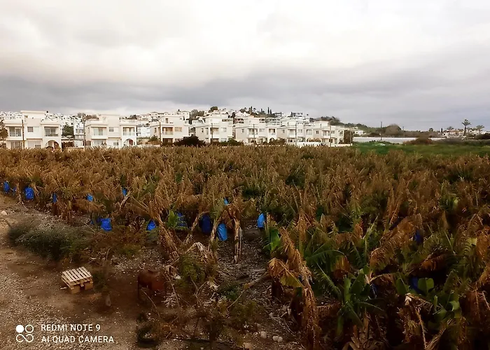 Blue Seaview Appartments