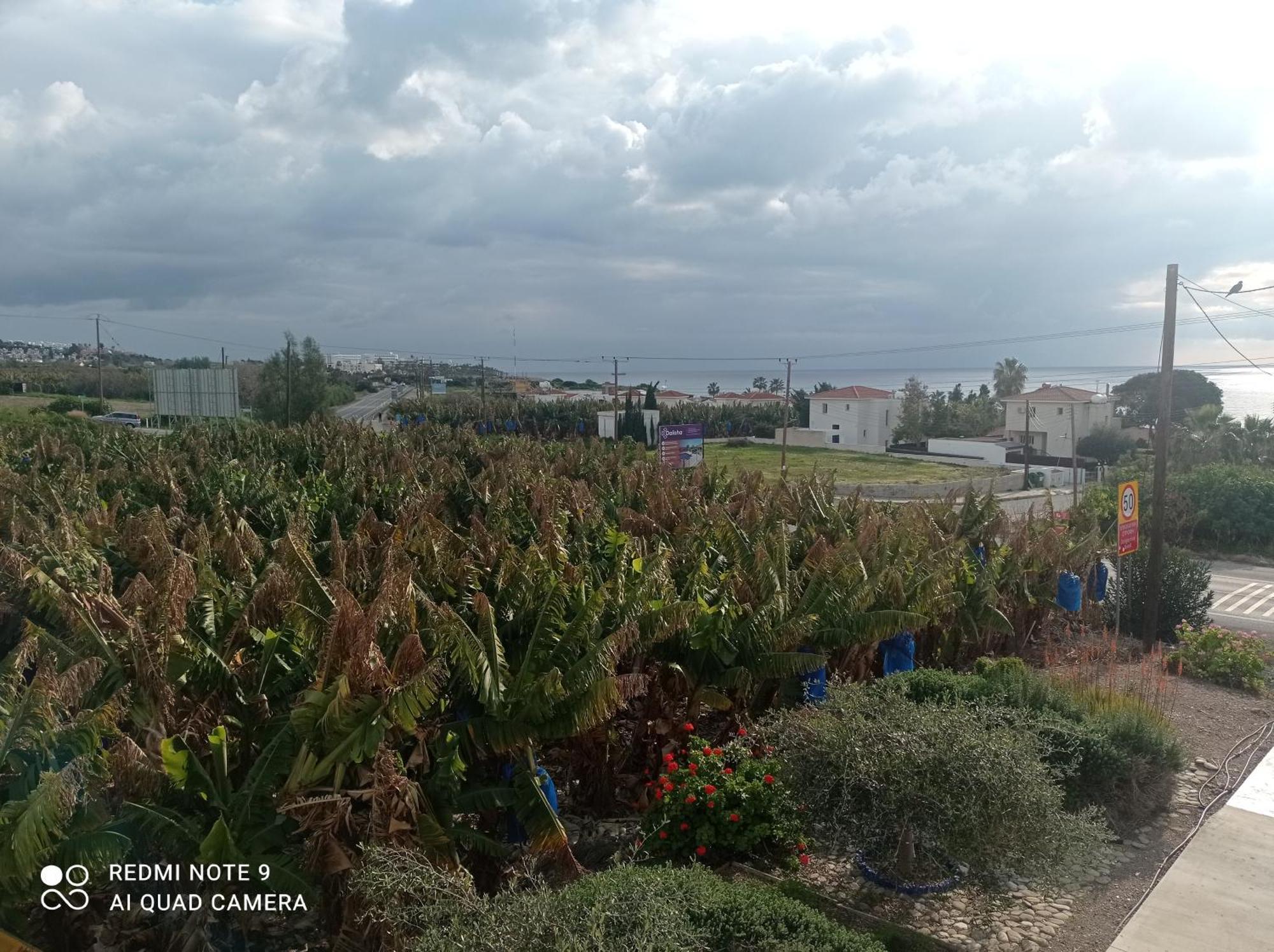 Blue Seaview Appartments Διαμέρισμα *
